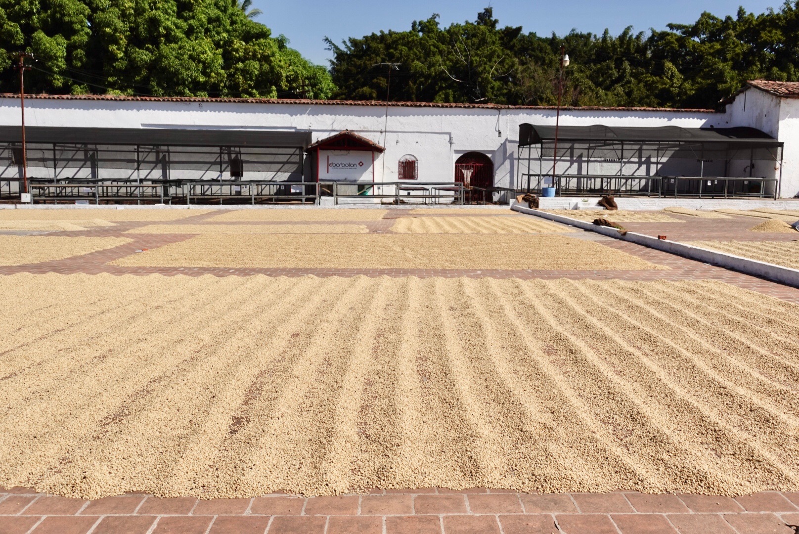 Coffee process